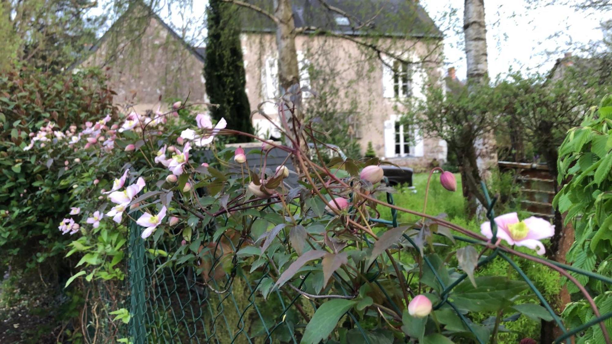La Thibautiere Bed & Breakfast Blaison Bagian luar foto