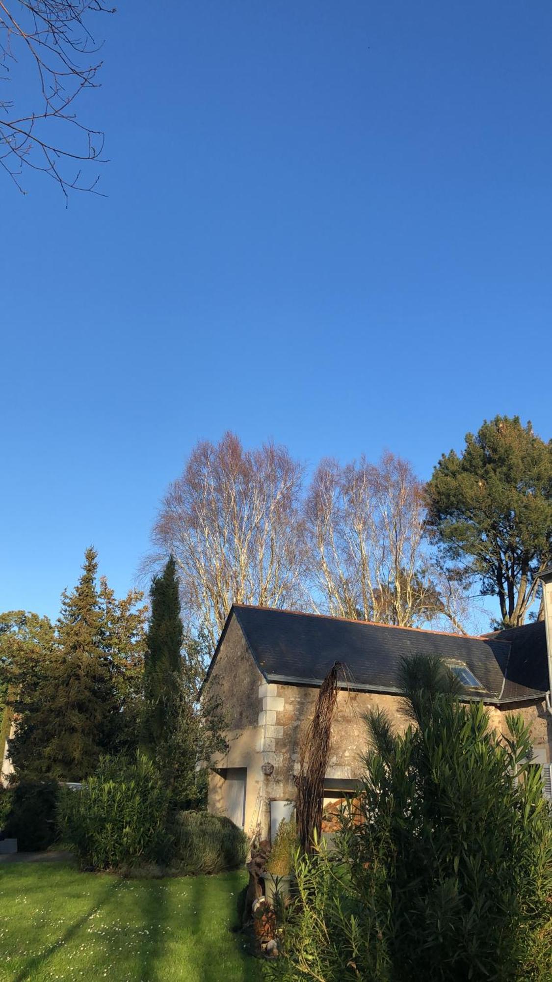 La Thibautiere Bed & Breakfast Blaison Bagian luar foto
