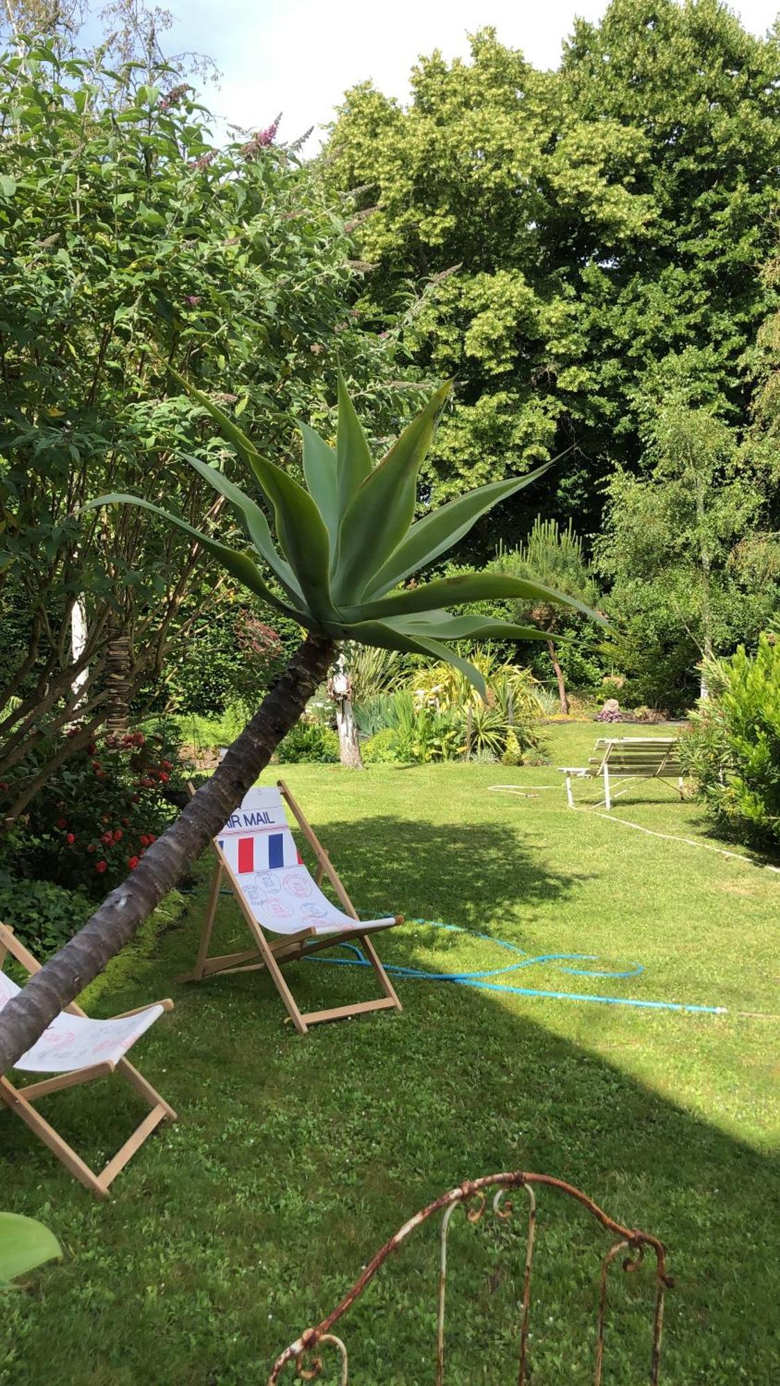 La Thibautiere Bed & Breakfast Blaison Bagian luar foto
